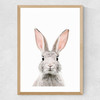 Baby Bunny Medium Oak Frame