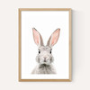 Baby Bunny