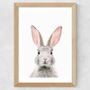 Baby Bunny Wide Oak Frame
