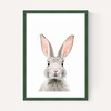Baby Bunny