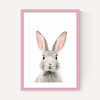 Baby Bunny