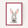 Baby Bunny