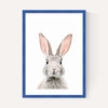Baby Bunny