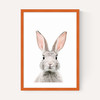 Baby Bunny
