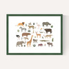 New safari animals