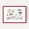 New safari animals
