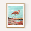 Flamingo on Holiday