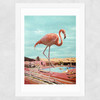 Flamingo on Holiday Wide White Frame