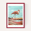 Flamingo on Holiday