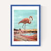 Flamingo on Holiday