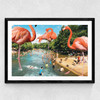 Flamingo Shore Medium Black Frame