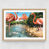Flamingo Shore Medium Oak Frame