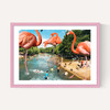 Flamingo Shore