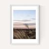 At The Coast IV