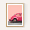 Pink Bug