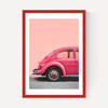 Pink Bug