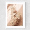 Last Summer XII Medium White Frame