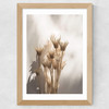 Last Summer XXVII Wide Oak Frame