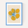 Five Lemons In A Net Bag