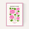Regents Park II