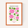 Regents Park II