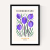 Richmond Park II