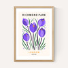 Richmond Park II