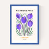 Richmond Park II