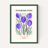 Richmond Park II