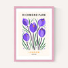 Richmond Park II
