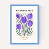 Richmond Park II
