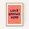 Love Grows Here