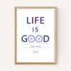Life Is Good Bicycle