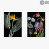 Vintage Florals Diptych Unframed Print