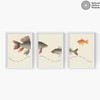 Advocate Fish Triptych Medium White Frame