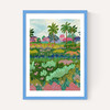 Paddy Ricefield