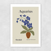 Aquarius Unframed Print
