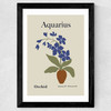 Aquarius Wide Black Frame