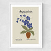 Aquarius Medium White Frame