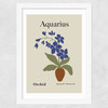 Aquarius Wide White Frame