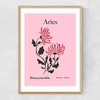 Aries