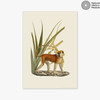 Monkey and Leaves Unframed Print