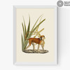 Monkey and Leaves Medium White Frame