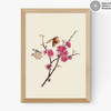 Flower and Butterflies