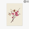 Flower and Butterflies