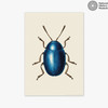 Mustard Beetle Unframed Print
