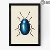 Mustard Beetle Medium Black Frame