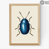 Mustard Beetle Medium Oak Frame