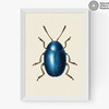 Mustard Beetle Medium White Frame