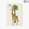 Giraffe and Bird Unframed Print